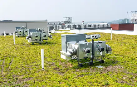 Tech Campus Green Roof Installation